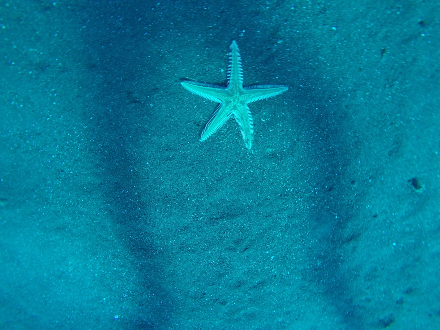 Una stella sotto la superficie